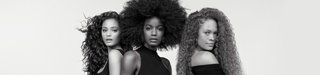 article curlmanifesto